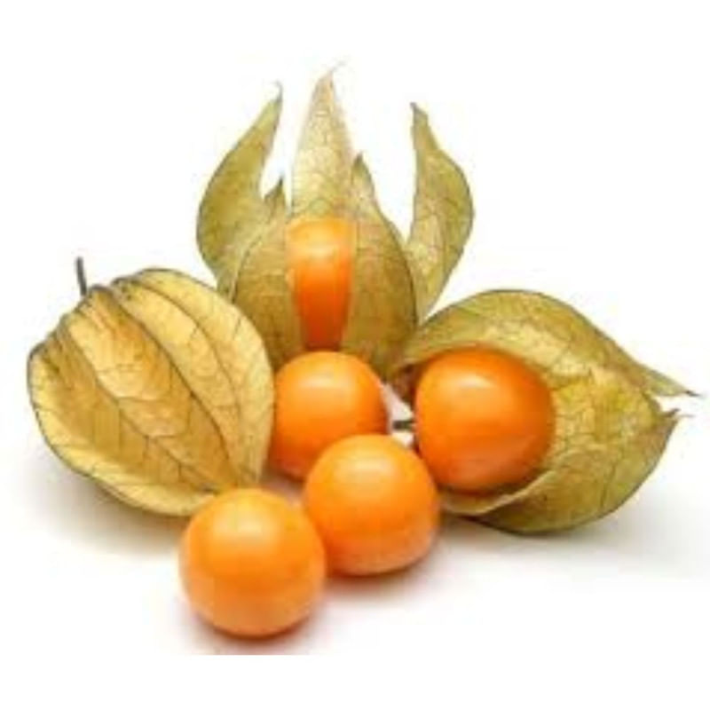 Physalis Embalagem 100g