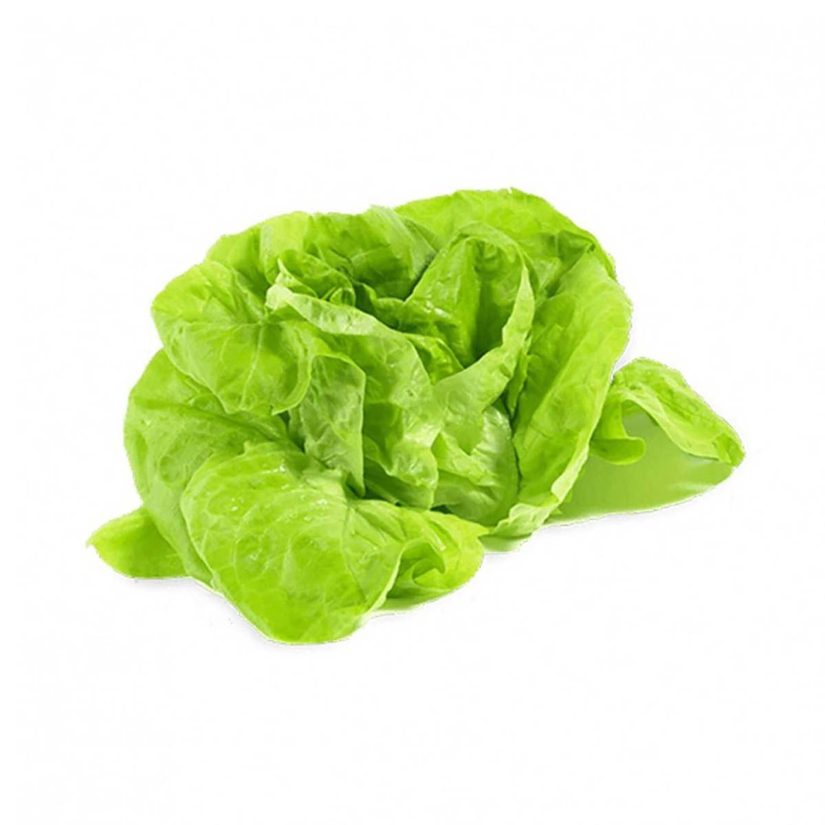 Alface Lisa  Orgânico Carrefour 150 g