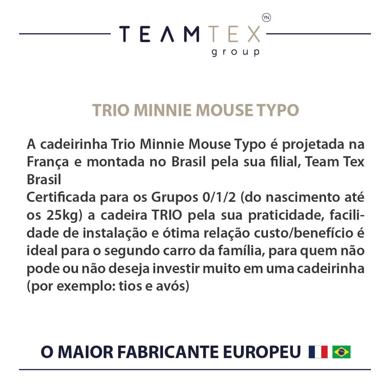 Tipos de cadeirinha para auto: quais são e quando são indicados? - Team Tex  Brasil 