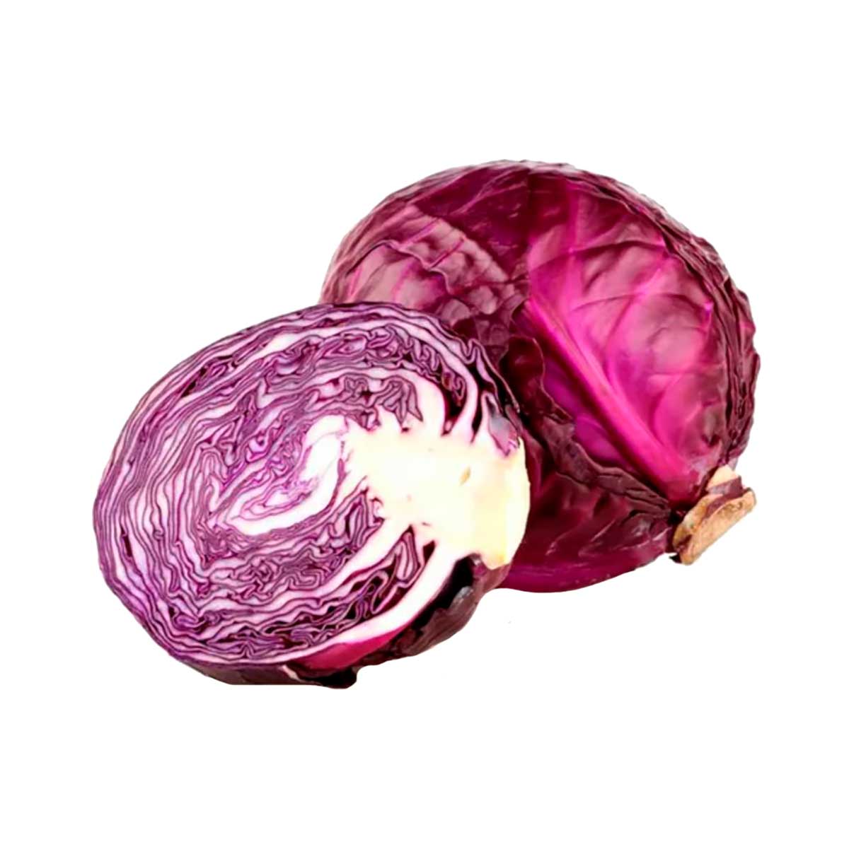 REPOLHO ROXO LINHA AZUL kg