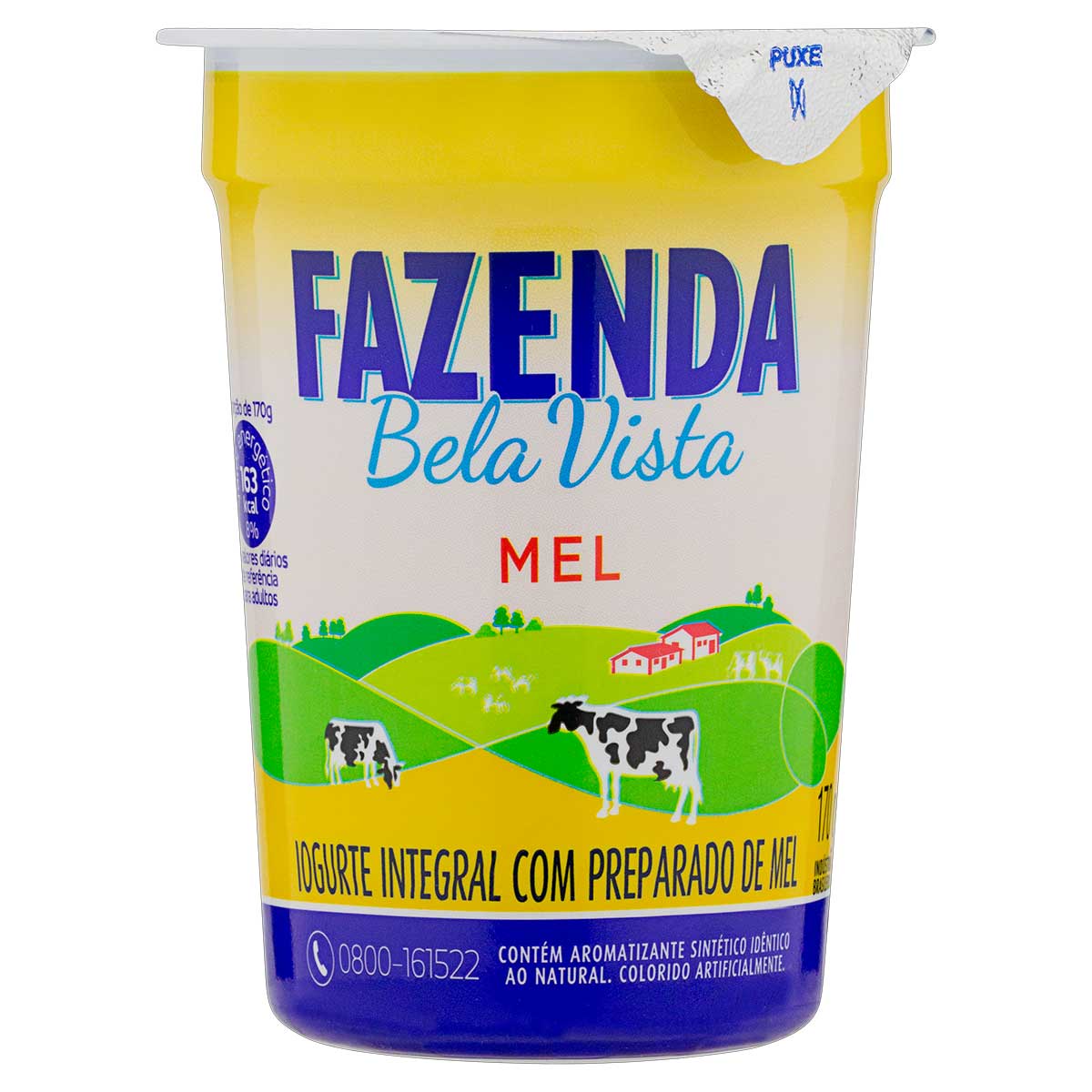 Iogurte Integral Fazenda Bela Vista com Mel 170g