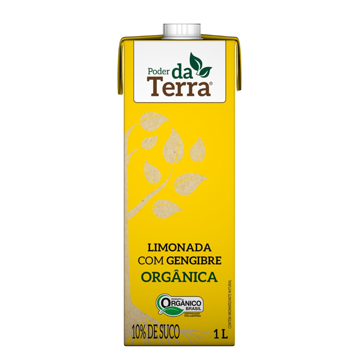Bebida Orgânica Limonada e Gengibre Poder da Terra Caixa 1 L