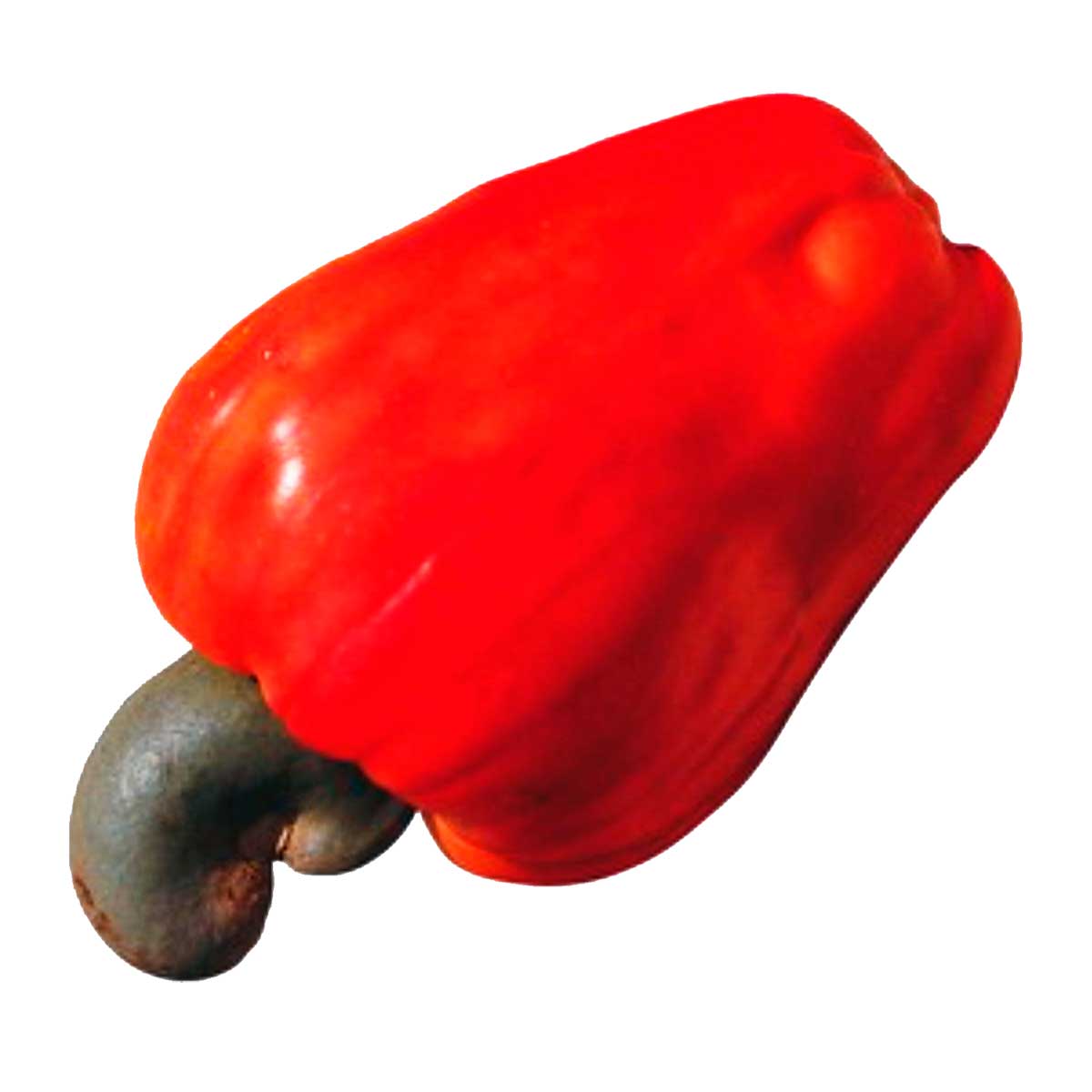 Caju Comum Carrefour 350g