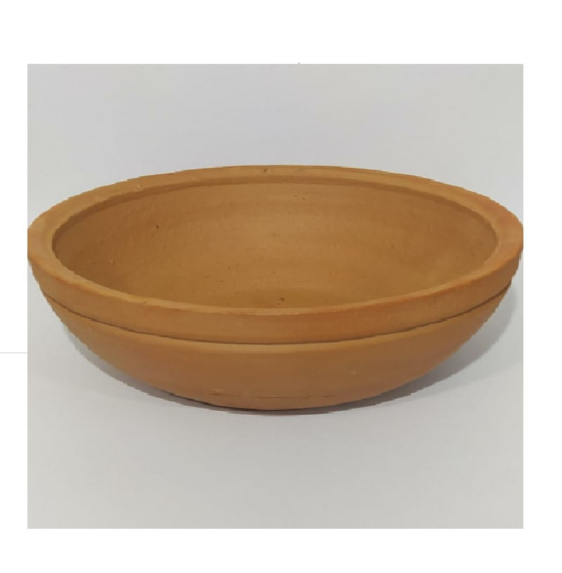 Muda Suculenta Vaso de Barro 18
