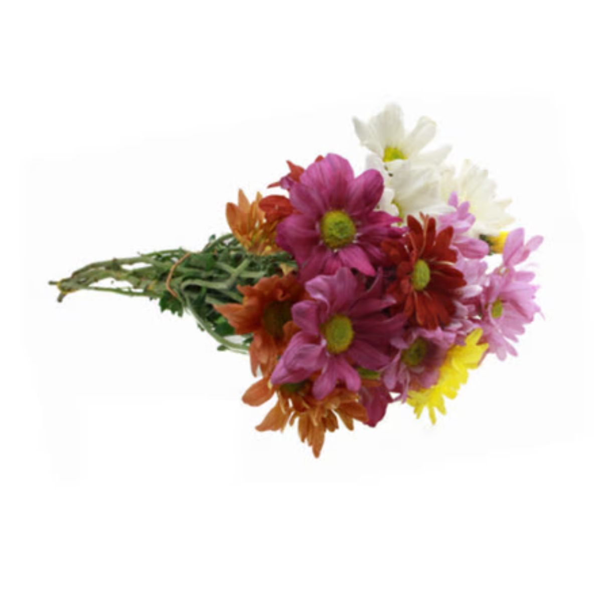 Maço Misto (Flor Do Campo) 6 Hastes