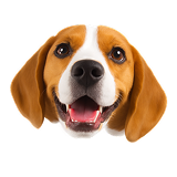 ver todos os produtos de Pet